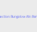 Prospection Bungalow  Alger